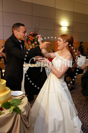The Cake (20)