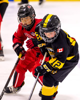 Western Selects Vs  Quebec Lions