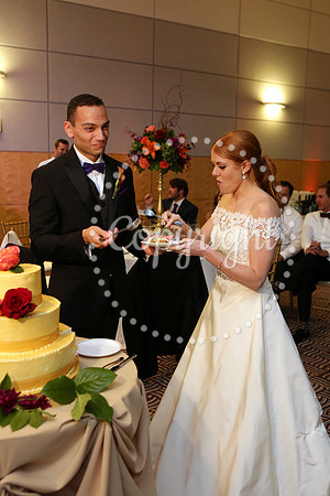 The Cake (18)