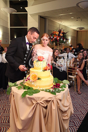 The Cake (35)