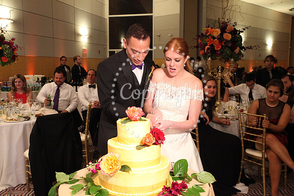 The Cake (33)