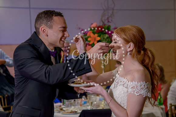 The Cake (47)