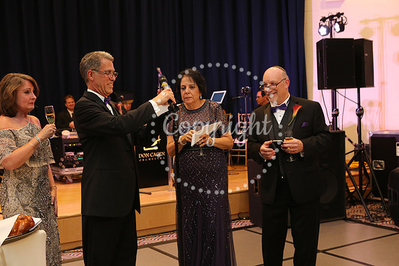 Speeches and Toasts (94)