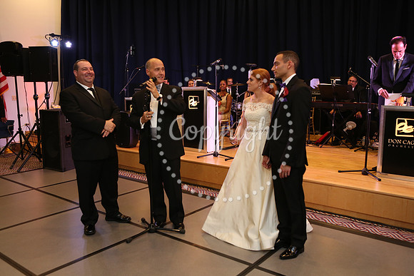 Speeches and Toasts (169)