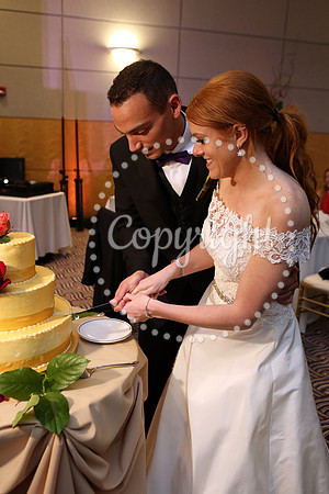 The Cake (7)
