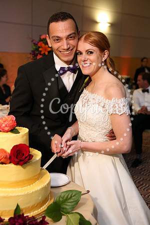 The Cake (3)