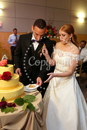 The Cake (13)
