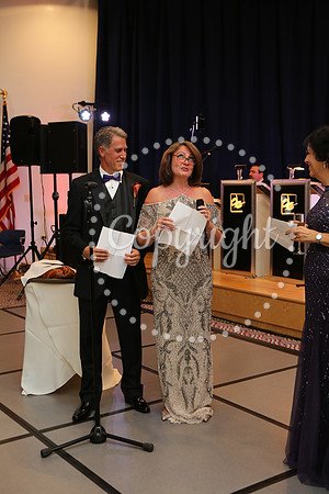 Speeches and Toasts (17)