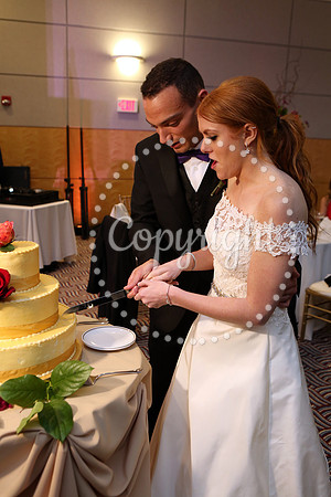The Cake (6)