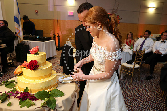 The Cake (10)