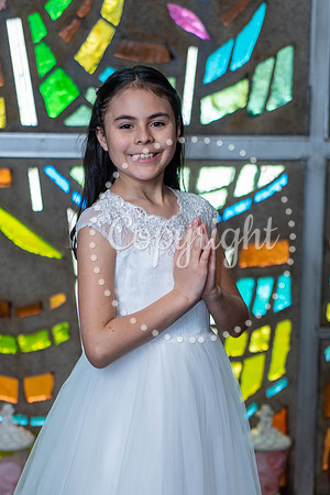DSC07506