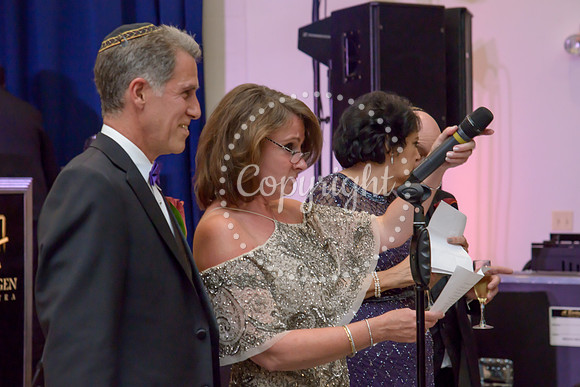 Speeches and Toasts (40)