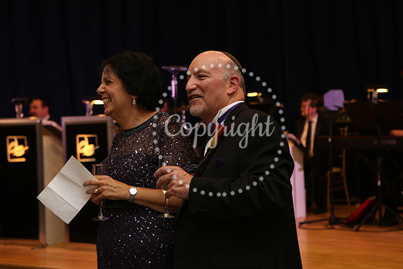 Speeches and Toasts (29)