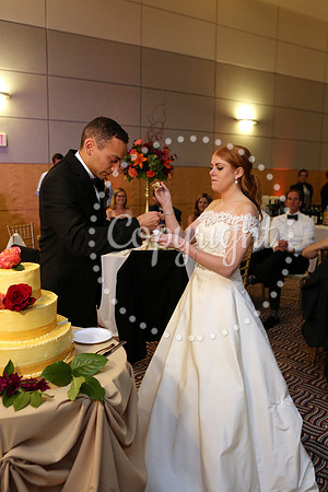 The Cake (14)