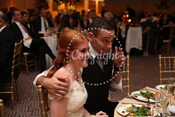Speeches and Toasts (129)